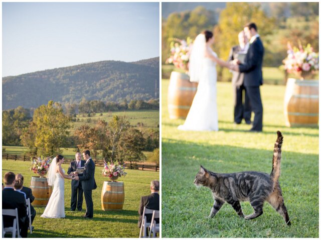 Winery wedding by TALLsmall Photo