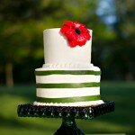 Wizard of Oz Wedding | Red Heels Events and Summer Jean Photography on ohlovelyday.com