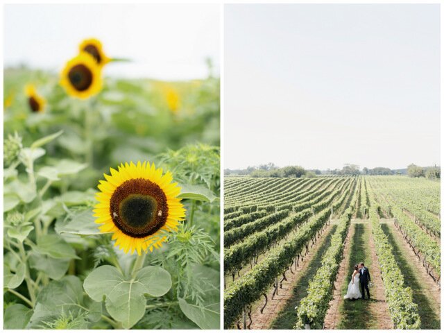 New York Vineyard Wedding | Elizabeth Millay Photography