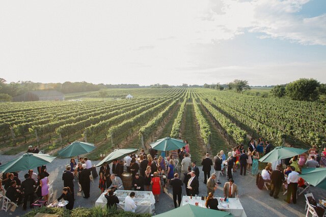 New York Vineyard Wedding | Elizabeth Millay Photography