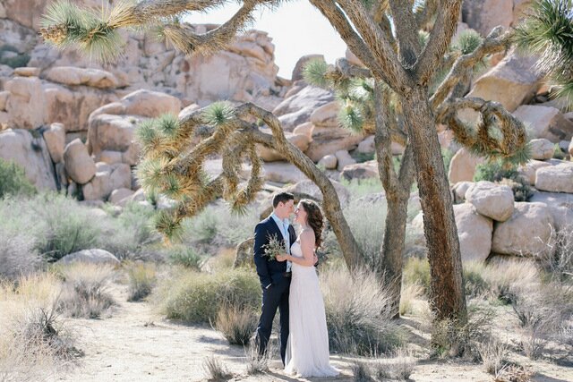 Joshua Tree Engagement | Allie Lindsey Photography on Oh Lovely Day