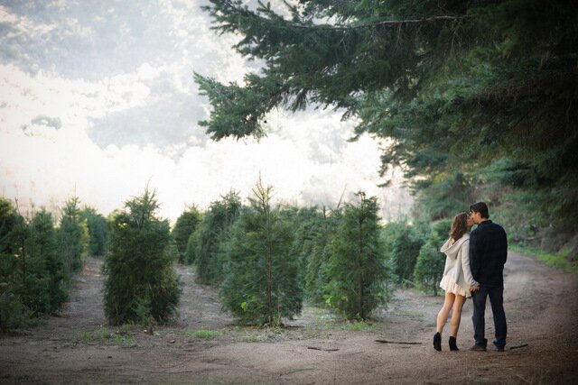 Christmas Tree Farm Anniversary Shoot | Britt Renee Photo | Oh Lovely Day