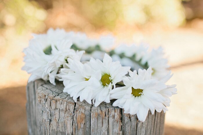 Daisy Chain Floral Crown | MV Florals & Megan Welker | Oh Lovely Day
