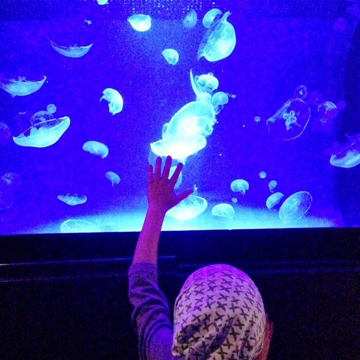 Favorite Family-Friendly Places To Visit In Los Angeles | Oh Lovely Day