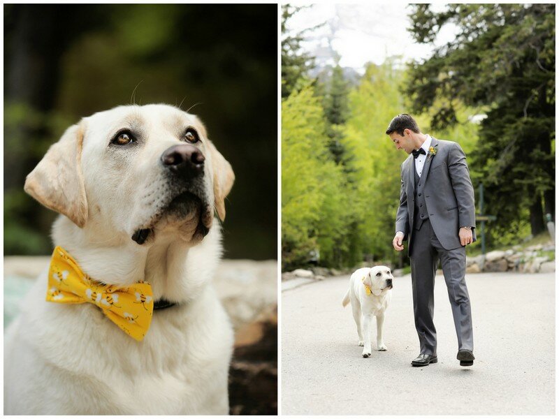 Rustic Sundance Wedding | Logan Walker Photography on Oh Lovely Day