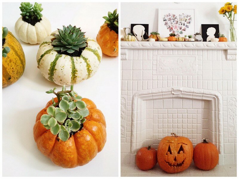 These DIY succulent pumpkins combine are so easy to make and so fun for fall decorating and gifting! A must pin and make!