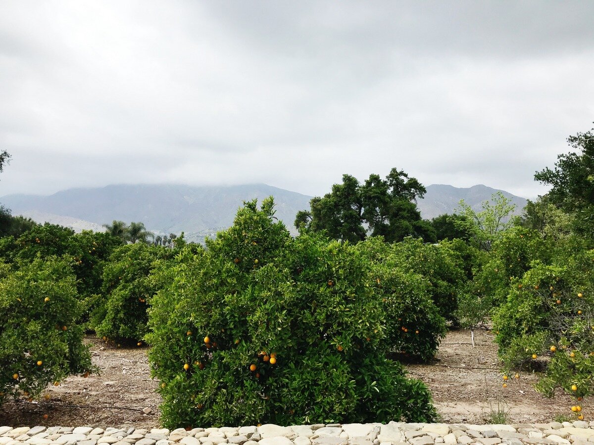 Girl's trip to Ojai: Where to stay, eat, shop, and relax in Ojai, CA