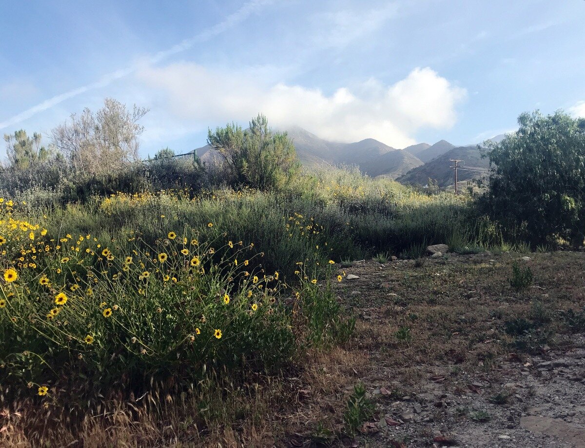 Girl's trip to Ojai: Where to stay, eat, shop, and relax in Ojai, CA