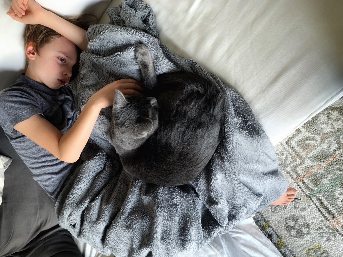 Childhood lyme, PANS/PANDAS, and OCD