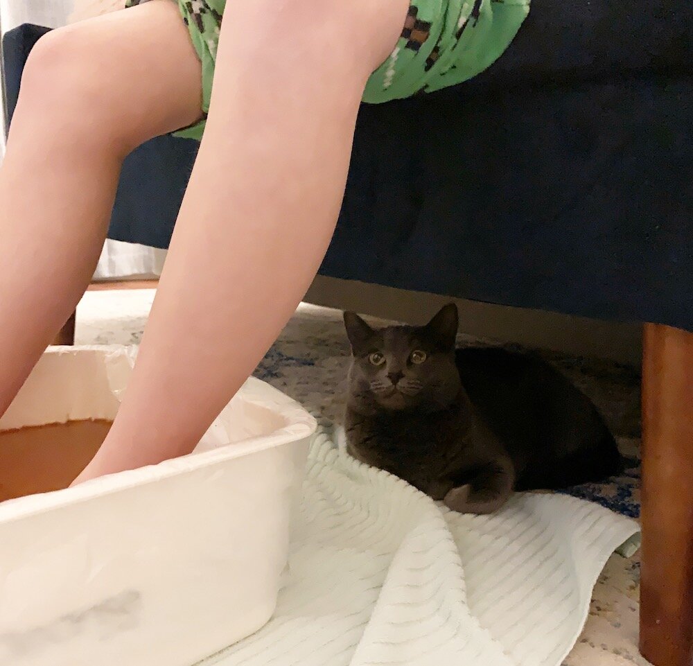 How our Ionic Cleanse has been important in my son's healing of Lyme and PANS/PANDAS recovery