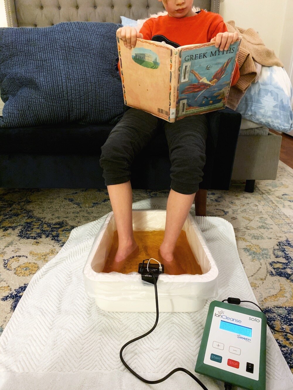 How our Ionic Cleanse has been important in my son's healing of Lyme and PANS/PANDAS recovery