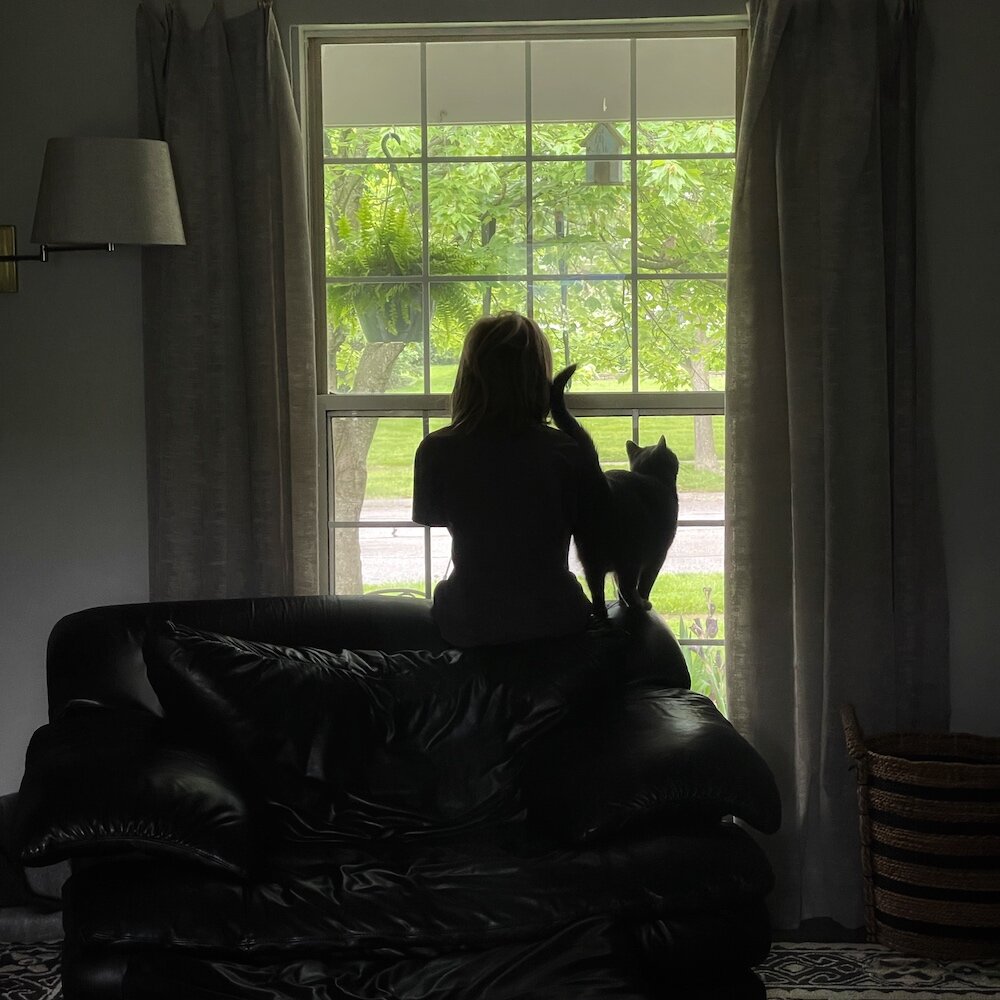 October is window covering safety month